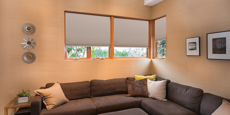 Grey Window Shades Living Room